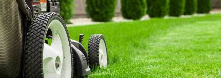 To start, your trugreen specialist will perform a healthy lawn analysis®. Lawn Mowing Service, Local Lawn Mowing - Same Day Pros