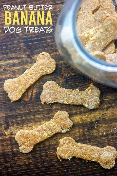 The Best Homemade Peanut Butter Dog Treats Recipe