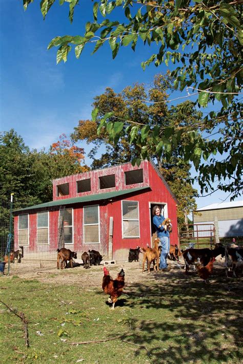 Advice From Modern Homesteaders On Self Sufficient Living Mother