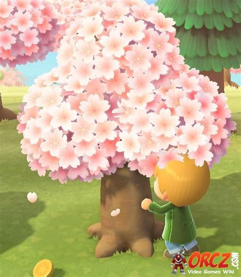Animal Crossing New Horizons Cherry Blossoms The Video