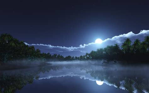 Nature Landscape Starry Night Moonlight Clouds Tropical Mist Palm Trees Lake Reflection