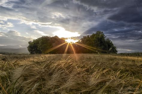 Wallpaper Sunlight Landscape 500px Sunset Hill Sky Field