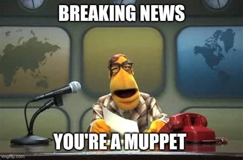Youre A Muppet Imgflip