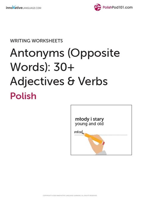 16 Polish Worksheets For Beginners Pdf Printables