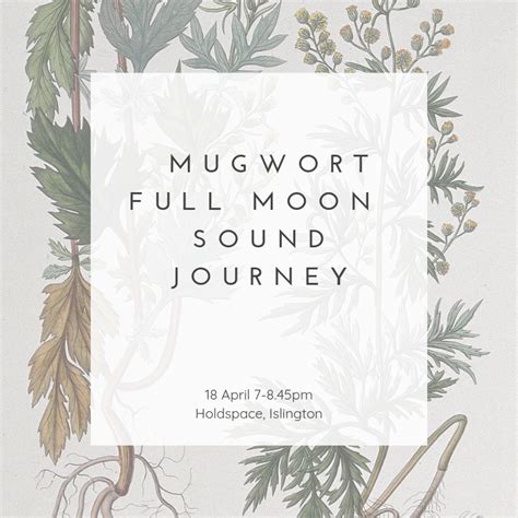 Mugwort Full Moon Sound Journey — Gong Bath And Sound Baths London