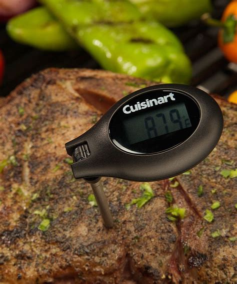 Pinterest Digital Meat Thermometer Meat Thermometers Thermometer