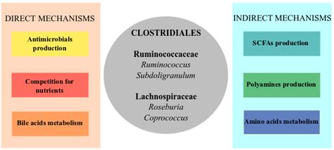 Antibiotics Special Issue Clostridium Difficile Infection