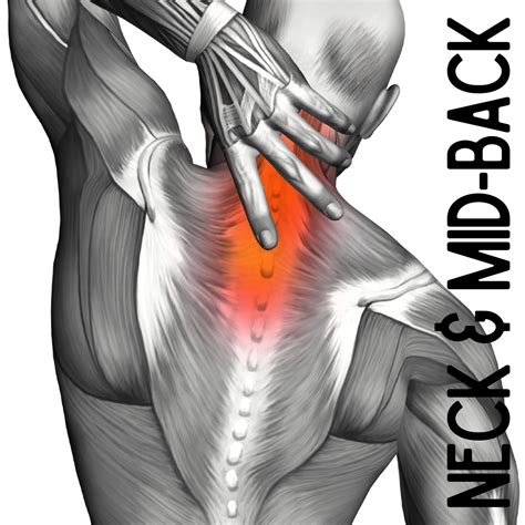 Neck And Mid Back Pain Chiropractor In Norwalk Ct Advanced Health