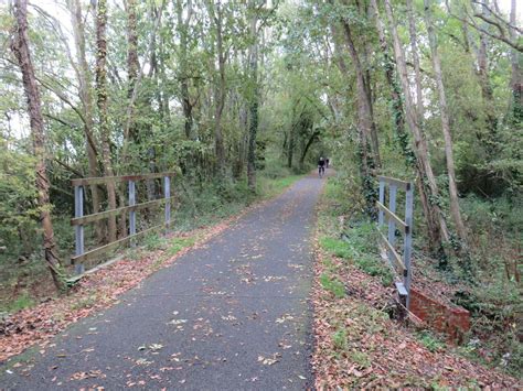 Red Squirrel Trail Near Cowes © Malc Mcdonald Geograph Britain And