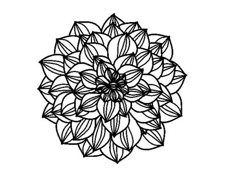 Pdf dahlia silhouette to print. Dahlia coloring page - Coloringcrew.com
