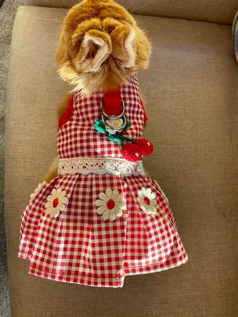 Bunny Harness Cherry Dress For Rabbit Small Pet Rabbit Clothes Etsy Uk