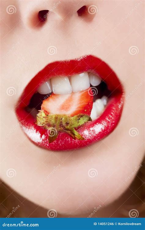 Woman S Mouth With Red Strawberry Stock Photo Image Of Human Adult