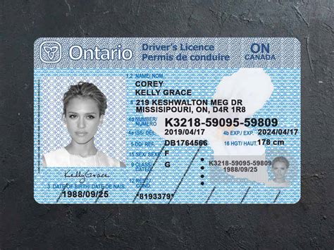 Ontario Driver License Psd Template Download Flash Psd