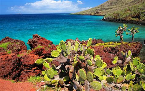 Les îles Galapagos Un Archipel Surgi De Locéan Terra Galapagos