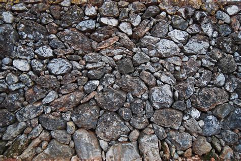 Free Images Nature Rock Wood Texture Trunk Cobblestone Asphalt