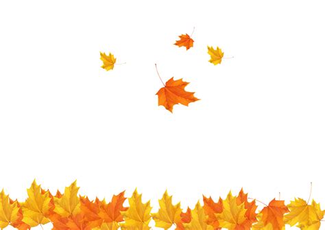 Autumn Leaf Clip Art Fall Maple Leaves Background Image Png Download