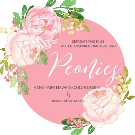 Watercolor Flower Clip Art Hand Drawn Flowers Rose Blush Pink