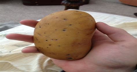 This Rock Looks Like A Potato Mildlyinteresting