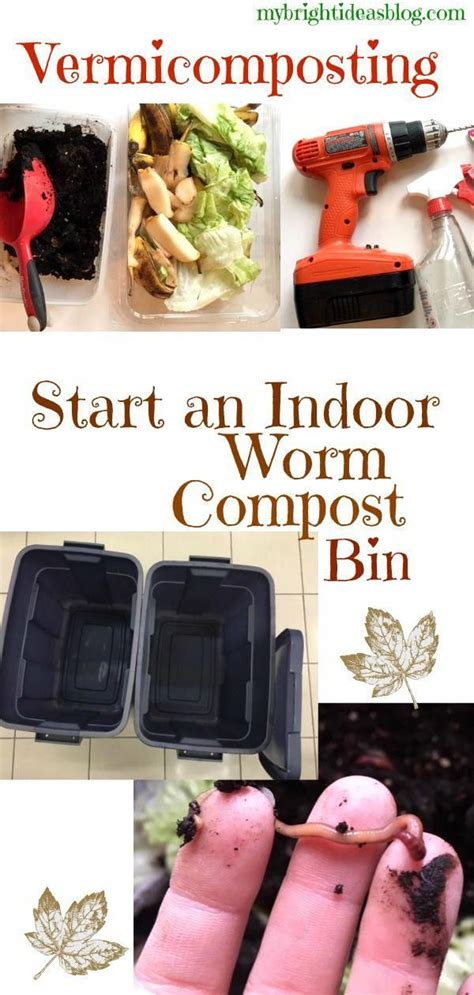 We are bins.pro new domain with biggest binlist bin checker. Starting an indoor Compost Bin is Easy. Check out my ...