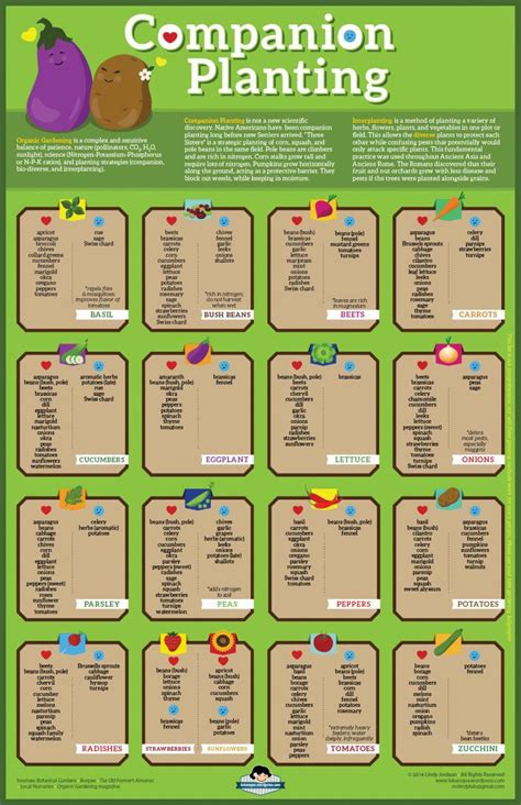 free companion planting chart for vegetables