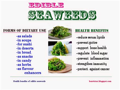 Health Benefits Of Edible Seaweeds