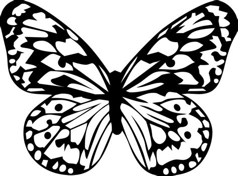 Бабочки Черно Белые Картинки Для Распечатки Telegraph