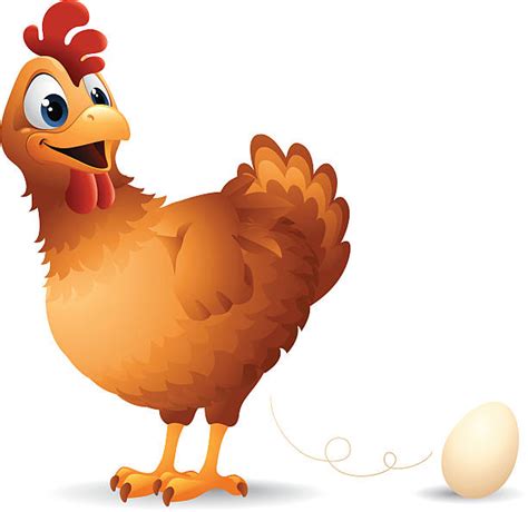 Chicken Laying Egg Stock Vectors Istock