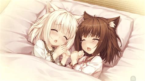 Cute Kittens Sleeping『nekopara Vol1』 Cuteanimegirls