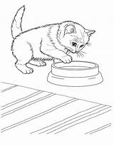 Coloring Pages Kitten Kids Printable sketch template