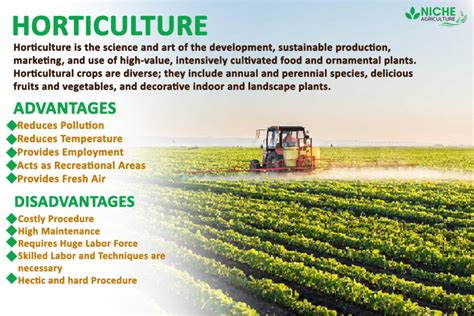 What Is Horticulture Benefits To Industry And Society