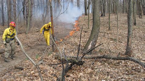 Dnr Fire Staff Resume Prescribed Burns Statewide This Year