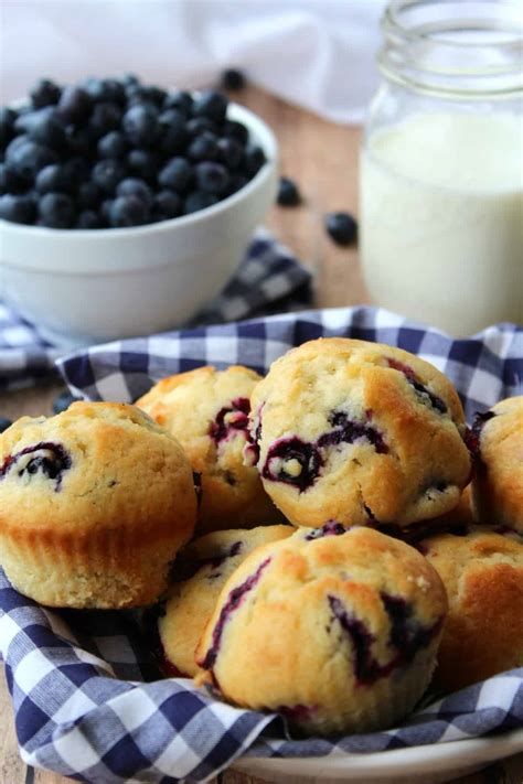 One Bowl Blueberry Muffins Quick And Easy Recipe