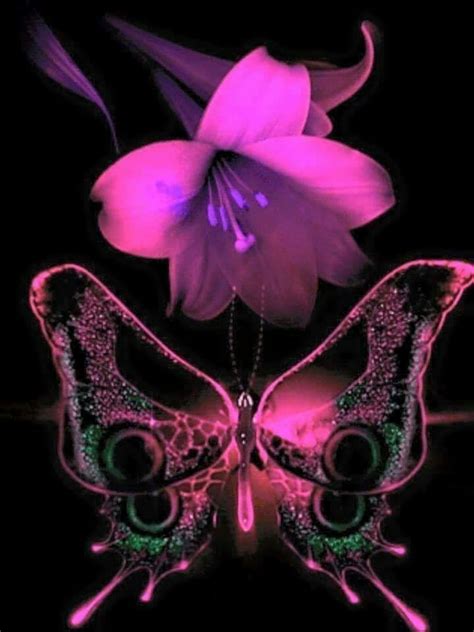 La Mia Raccolta Gif Beautiful Butterflies Butterfly Wallpaper Butterfly Art