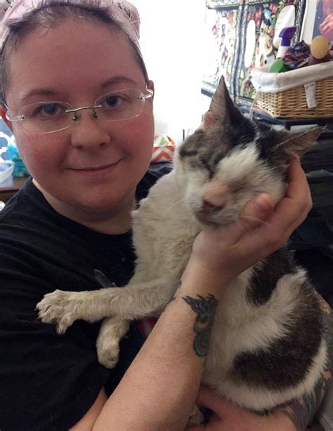 12 Year Old Cat Who Was Neglected Receives Love And Cant Stop Hugging His Rescuers Love Meow