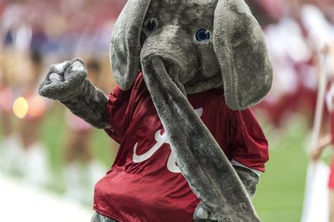 Big Al The Evolution Of The Alabama Mascots Look Throughout The Years
