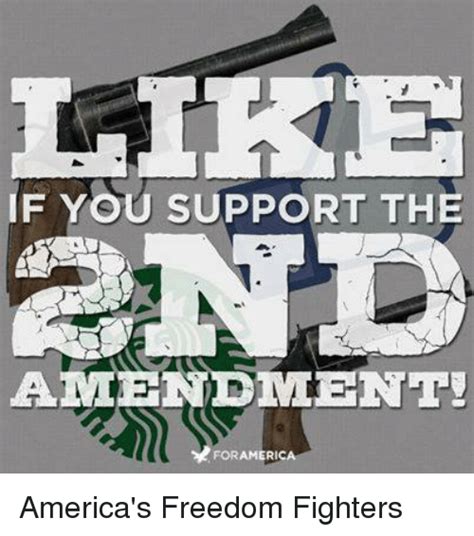 Like If You Support The Amendment For America America S Freedom Fighters America Meme On Me Me