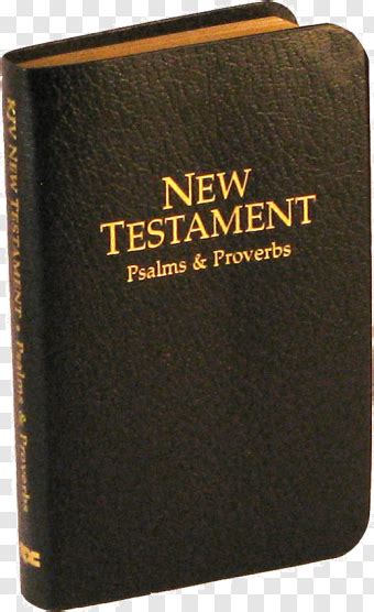 New Testament Books 520x851 25681288 Png Image Pngjoy