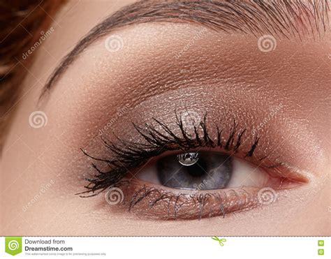 Set Of Female Eyebrows In Different Shapes And Types
