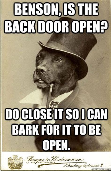 Dog Hump Day Memes Old Money Dog Meme Prefers The Finer Things In