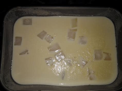 We have been produced cocona nata de coco. Jeja Tahir: RESIPI : Puding Laici with Nata De Coco