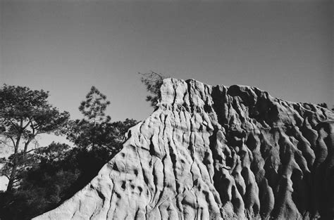 35mm Film Photography San Diego In Black And White Westward We Wander