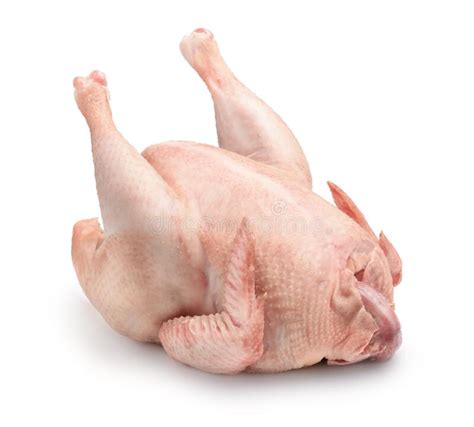 Whole Fresh Raw Turkey Stock Image Image Of Freshness 274887623