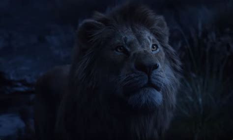 The Lion King 2019 Review People Need To Calm Down Autobot Vulcan