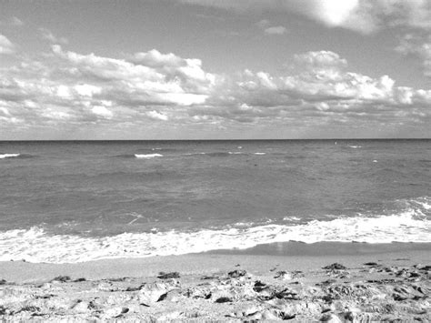 Miami Beach In Black And White Photograph By Rebecca Waldner