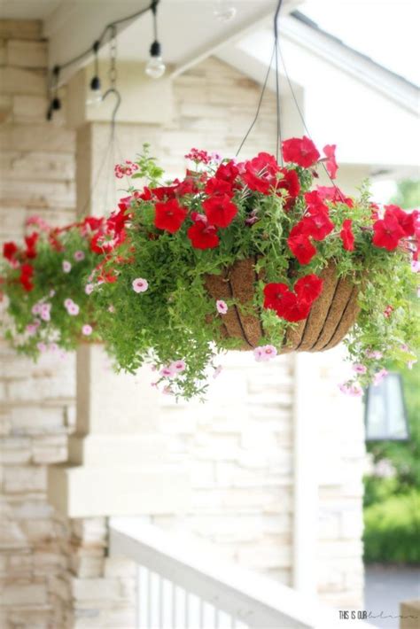 This plant prefers a lot of light and is best hung along the outer areas of a porch or patio. How to Spruce Up Your Front Porch | Front porch flowers ...
