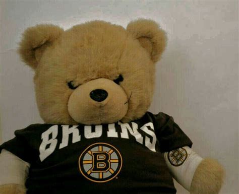 Bruins Teddy Bear Teddy Bear Teddy Boston Bruins