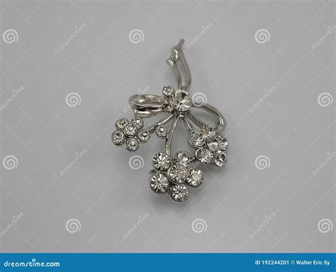Shiny Metallic Brooch Pin Design Stock Image Image Of Wear Detail
