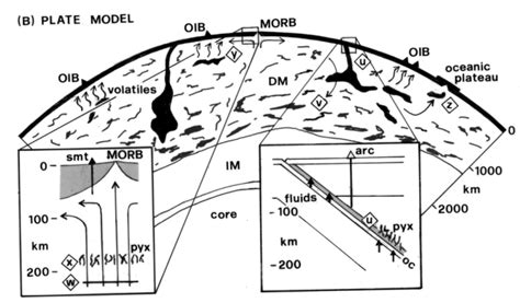 Comparison Of The Fate Of Subducted Oceanic Lithosphere In The Plume