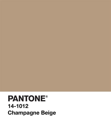 Champagne Beige Marrons E Beges Cores Combinações De Cores Paletes