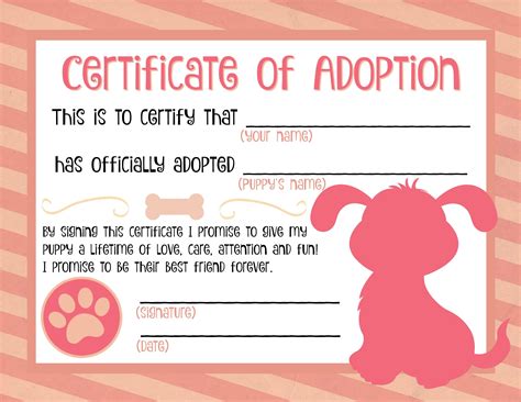 The 25 Best Adoption Certificate Ideas On Pinterest Paw Patrol